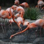 Discover Exciting Psychology Degree Programs in San Diego