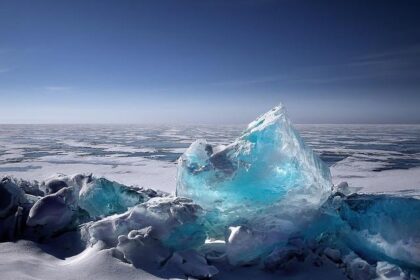 ICE Agents Conduct Major Enforcement Operation, Arrest Green Card Applicants in San Diego