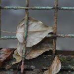 The Urgent Warning Signs of Our Failing Education System We Must Face Now