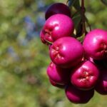 Tucker Carlson to Deliver a Powerful Speech at Awaken Church in San Marcos