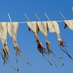 Dramatic Stabbing in East Village Triggers High-Speed Chase and Gunfire in Mexico