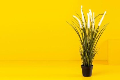 Pakistan’s Prime Minister in Washington: Business as Usual or Turning Point?