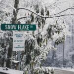 Snowflake Lane Finale, Dazzling Holiday Shows, and More Seattle Weekend Events