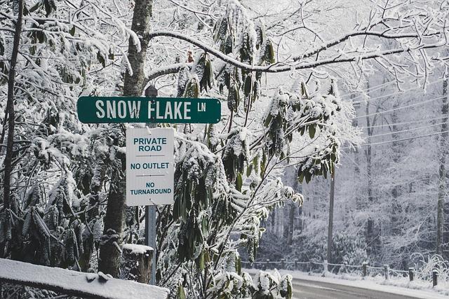 Snowflake Lane Finale, Dazzling Holiday Shows, and More Seattle Weekend Events