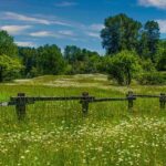 Watch Stunning Drone Footage Reveal the Massive Flooding in Washington State