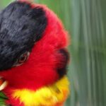 Dick Cheney, Powerful Vice President and Washington Insider, Dies at 84 – The New York Times