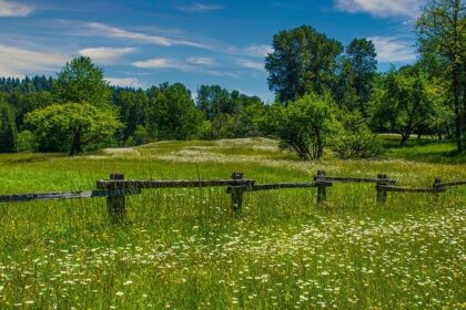 Is Washington State Fun? Here Are America’s 10 Most Exciting States, According to a New Study