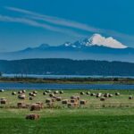 How this Washington state border town got caught up in Trump’s trade war with Canada – Fast Company