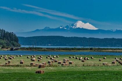 How this Washington state border town got caught up in Trump’s trade war with Canada – Fast Company