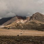 National Guard Opens Fire in Deadly November 28, 2025 Shooting