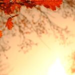 October 9, 2025 – Don’t Miss the Full Show!