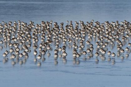 PHOTOS: Inside the Washington Career and Technical Education Center