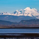 Violent crime is on the decline in Washington state and nationwide – opb.org