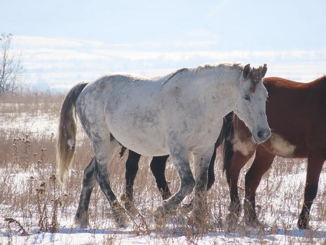 Chuy García’s Unexpected Exit Sparks Revival of Chicago’s Classic Political Tactics