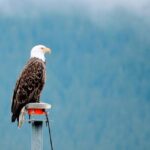 Seward Academy Leads the Way in Climate Change Education in Illinois