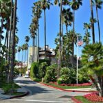 Are the Rams Heading for a Weather Disaster Against the Bears? Here’s What the Teams Are Saying