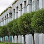 Supreme Court Upholds Halt on National Guard Deployment in Chicago