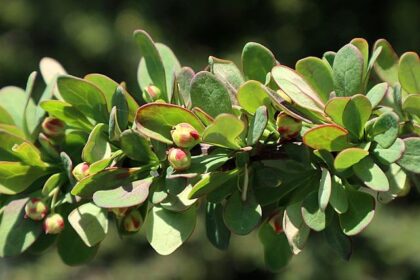 Jared Grodin Honored in Inaugural Community Leadership Awards for Impactful Contributions