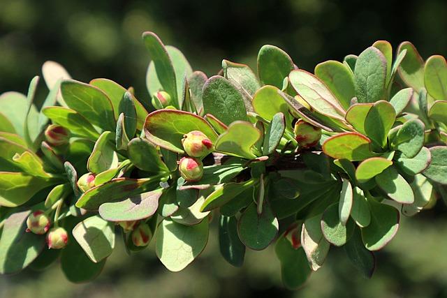 Jared Grodin Honored in Inaugural Community Leadership Awards for Impactful Contributions