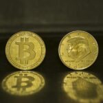 Donald Trump Electrifies the Crowd at Turning Point USA Rally in Phoenix