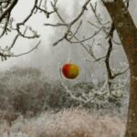 ICE: San Antonio Workplace Shooting Suspect Who Killed 3 Entered U.S. Illegally from Honduras