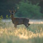 Top Arcades and Family Fun Centers to Explore Near Philly