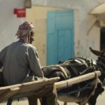 Stunning M Modern Home in Piney Point Village Tops Houston’s Weekly Sales