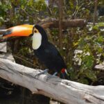 TX Rep. John Lujan Announces Candidacy for Newly Redrawn 35th Congressional District