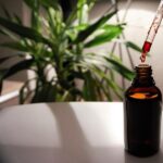 Houston to Welcome a Spectacular 0 Million, 12,500-Seat Entertainment Venue in 2027