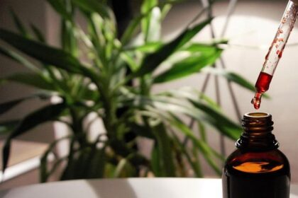 Houston to Welcome a Spectacular 0 Million, 12,500-Seat Entertainment Venue in 2027