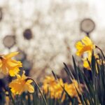 Inside Phoenix’s Most Dangerous Neighborhood: Exploring the City’s Worst Hotspot for Violent Crime