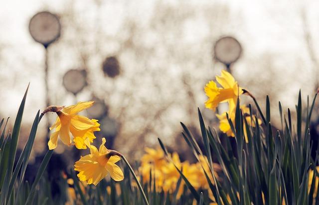 Inside Phoenix’s Most Dangerous Neighborhood: Exploring the City’s Worst Hotspot for Violent Crime