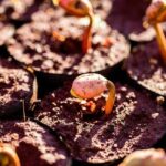 2025 in Review: How Consolidation is Transforming the Higher Education Landscape