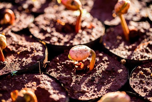 2025 in Review: How Consolidation is Transforming the Higher Education Landscape