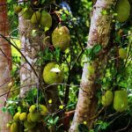 Laura Isensee named Houston Chronicle’s new education editor – Houston Chronicle