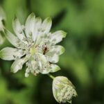 How Often Are Major Crimes Reported on Houston’s Buses and Trains? Revealing the Latest Data