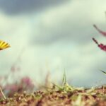 Victor Wembanyama Claps Back at Thunder Fans: “I Heard One F**k You