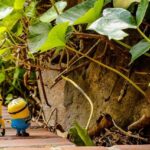 Kevin Durant Out of Action for Suns vs. Rockets Showdown