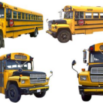 Two School Buses Collide in Crash on U.S. 281 North at Redland Road