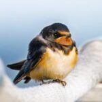 12-Year-Old Charged with Capital Murder Highlights Urgent Flaws in the Juvenile Justice System