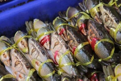 Smashin Crab Brings Fresh Live Seafood from Across the US Straight to San Antonio Plates