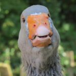 Minneapolis Shooting Sparks Fears of State Violence as Black Panther Party Members Rally in Philly