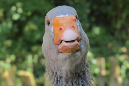 Minneapolis Shooting Sparks Fears of State Violence as Black Panther Party Members Rally in Philly