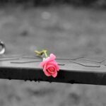 Bullying, Harassment and Discrimination – philasd.org