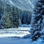 Stunning Footage Shows Cars Frozen Solid Along North Front Street in Philly