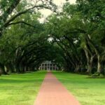 Judge Condemns Federal Lawyers for Removing Slavery Exhibit from President’s House Site