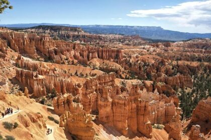 U.S. Coast Guard Seizes and Unloads 3M Worth of Cocaine in Major San Diego Bust