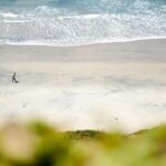 San Diego Sues DHS to Protect Border Habitat from Razor Wire Threat