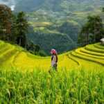 Conservative Women Unite and Thrive in a Pivotal Moment Led by Charlie Kirk’s Widow