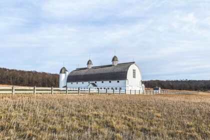 DHS Orders San Diego Native and U.S. Citizen to Leave the Country